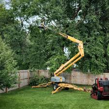 Best Utility Line Clearance  in Sparta, IL